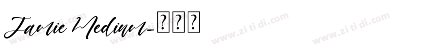 Jamie Medium字体转换